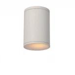 Потолочный светильник Lucide Tubix 27870/01/31