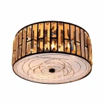 Потолочный светильник круглый Citilux Гермес CL331151 (220V)