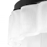 Подвесной светильник Lightstar Nibbler 812236 (220V, на тросе, цветы)