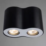 Потолочный светильник Arte Lamp Falcon A5633PL-2BK