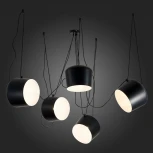 Подвесной светильник Evoluce Trieste SLE120643-05