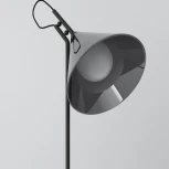 Настольная лампа Eurosvet Enigma 01186/1