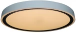 Потолочный светильник круглый Zortes Bella ZRS.1201.11 (LED, 220V, круглые, IP54)