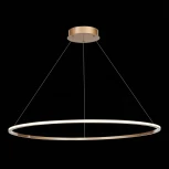 Подвесной светильник ST Luce St604 Out ST604.243.46 (LED, 220V, на тросе, кольцо)