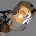 Потолочная люстра на штанге Reluce 11555-0.3-04 BK+FGD (220V)