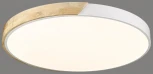 Потолочный светильник круглый Velante 445-067-01 (LED, 220V, пульт управления, круглые)