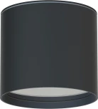 Потолочный светильник уличный Favourite Fantum 4663-1U (220V, круглые, IP54)