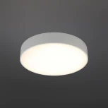 Потолочный светильник круглый Aployt Evon APL.0113.09.24 (LED, 220V, круглые)