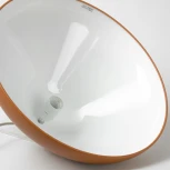 Подвесной светильник Lussole Jenkins LSP-7325 (220V, на проводе)