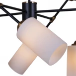 Потолочная люстра на штанге Reluce 32348-0.3-08 (220V)