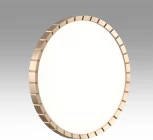 Настенно-потолочный светильник Sonex Atabi Gold пластик/белый/золотой 7648/EL PALE SN LED 70Вт 3000-6000К D486 IP43 пульт ДУ (220V, круглые)