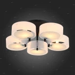 Потолочная люстра ST Luce Foresta SL483.402.05