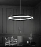 Подвесной светильник Seven Fires Liven SF5023/1P-BK-GD