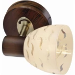 Спот Toplight Shayla TL3730Y-01BB