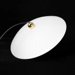 Подвесной светильник светодиодный Lussole Irvine LSP-7342 (220V, на проводе, круглые)