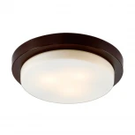 Настенно-потолочный светильник Odeon Light Holger 2744/3C