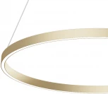 Подвесной светильник Maytoni Rim MOD058PL-L42BSK (LED, 220V, на тросе, кольцо)