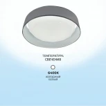 Потолочный светильник Seven Fires Лагом 48205.23.18.64GR