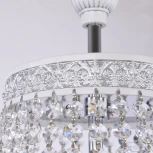 Потолочная люстра Bohemia AL2211 AL2201H201/8/100FL WMN