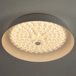 Потолочный светильник круглый светодиодный с пультом регулировкой цветовой температуры и яркости ЭРА SPB-6-60-RC Locus RGB (220V, круглые)