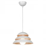 Подвесной светильник Lussole Loft Beijing LSP-8130 (220V, на проводе, круглые, IP21)