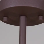Потолочная люстра на штанге ILLUMICO IL1023-3C-05 COFFE