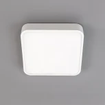 Потолочный светильник светодиодный Купер CL724K24V0 (220V, диммер)