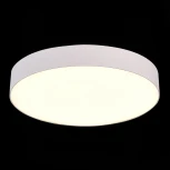 Потолочный светильник круглый ST Luce ST606.532.48 (LED, 220V, круглые)