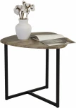 Стол журнальный BeautyStyle 11 дуб крымский состаренный/черный от фабрики Mebelik