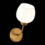 Бра Tratti SLE1136-301-01 Evoluce