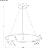 Подвесной светильник Arte Lamp Ring A2186SP-1WH