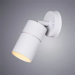 Настенный светильник уличный Arte Lamp Mistero A3304AL-1WH (220V, IP54)