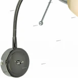 Бра на гибкой ножке Arte Lamp Lettura A7009AP-1BC (220V)