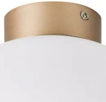 Потолочный светильник круглый Lightstar Globo 812033 (220V, шар)