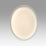 Настенно-потолочный светильник Sonex Jolly 7775/ELN пластик/белый "зв. небо" LED 76Вт 3000/4000/6000К (для детской, 220V, круглые, звездное небо, IP43)