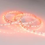 Светодиодная лента Arlight RT 2-5000 015974