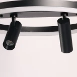 Потолочный люстра со спотами DeMarkt Драйв 377013303 (LED, 220V, пульт управления, круглые)