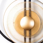 Настенный светильник LED Lightstar Erica 609622 (220V)