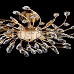 Потолочная люстра Lightstar Isabelle 791182