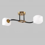 Потолочная люстра Imex MD.52009-2-S-BK+GAB