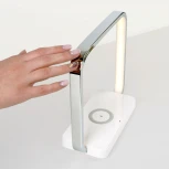 Интерьерная настольная лампа Eurosvet Frame 80502/1 хром