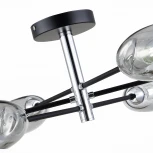 Потолочная люстра Evoluce Gloa SLE155512-06 (220V, шарики)