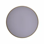 Потолочный светильник круглый со спотами Zortes Gabby ZRS.90610.50 (LED, 220V, круглые)