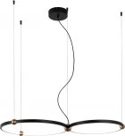 Подвесной светильник Favourite Tornado 4569-2P (LED, 220V, на тросе, кольцо)