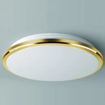 Потолочный светильник Citilux Луна CL702222W