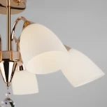 Потолочная люстра Eurosvet Ellene 30149/5 золото (220V)