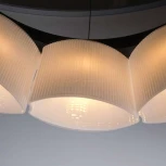 Подвесной светильник Lightstar Nibbler 812126 (220V, на тросе, цветы)