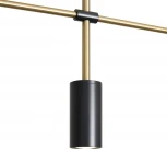 Потолочная люстра на штанге Freya Enzo FR5201PL-04B (220V)