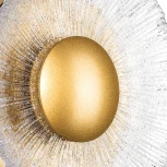 Настенный светильник Lightstar Erica 609602 (LED, 220V, круглые)