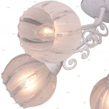 Потолочная люстра Toplight Megan TL3800X-05WG